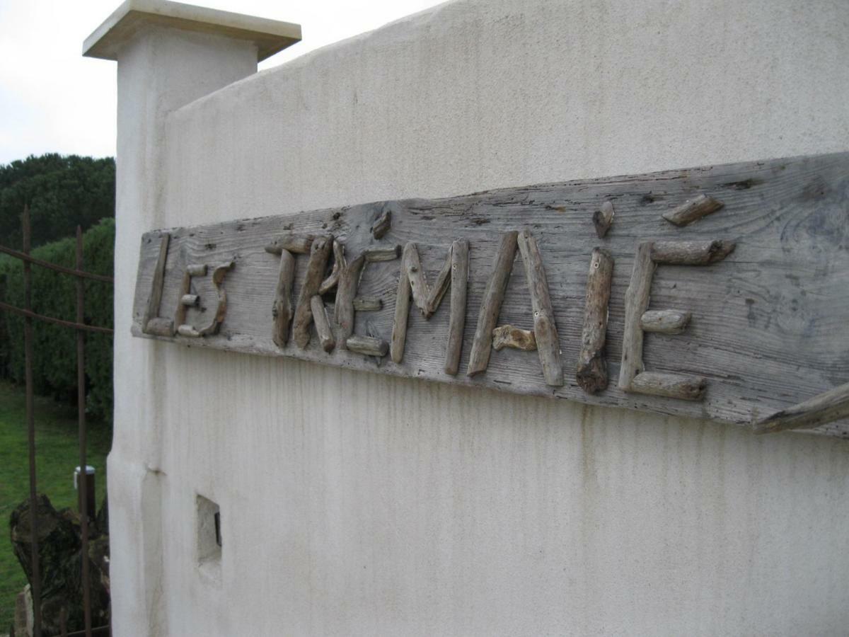 Le Mas des Trémaïé Saintes-Maries-de-la-Mer Exterior foto